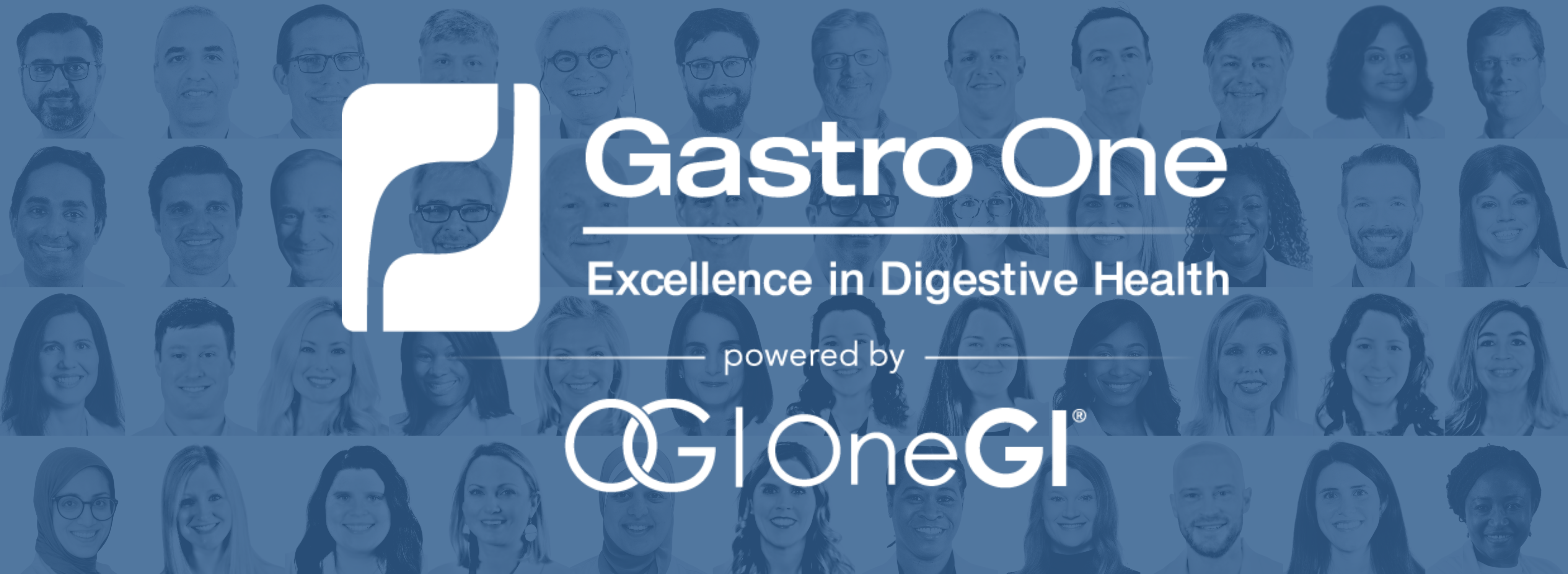 Gastro One